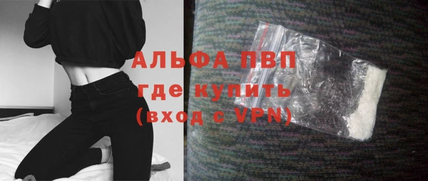 стаф Баксан