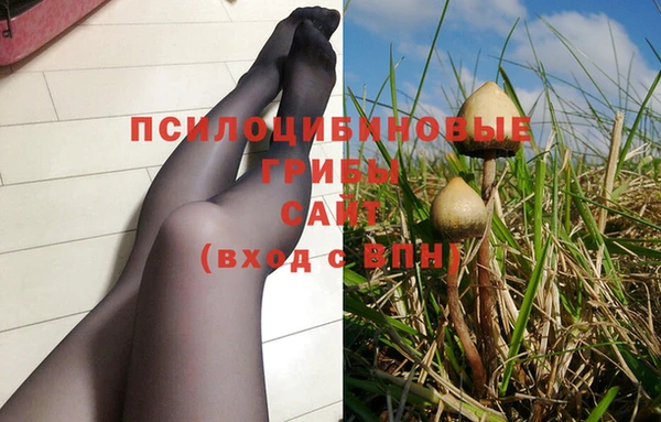 стаф Баксан