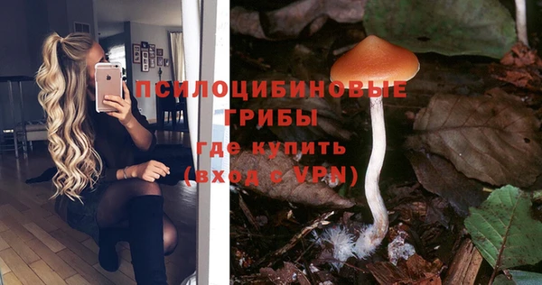 стаф Баксан