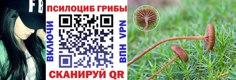 Псилоцибиновые грибы Cubensis  kraken зеркало  Новоуральск 