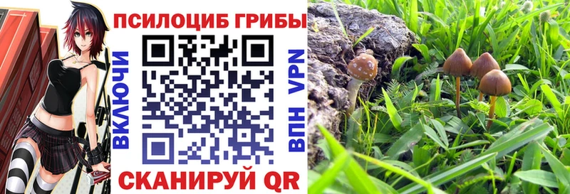 Псилоцибиновые грибы мицелий Новоуральск